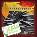 sunflower seeds 5009 363 361601 export to mideast market